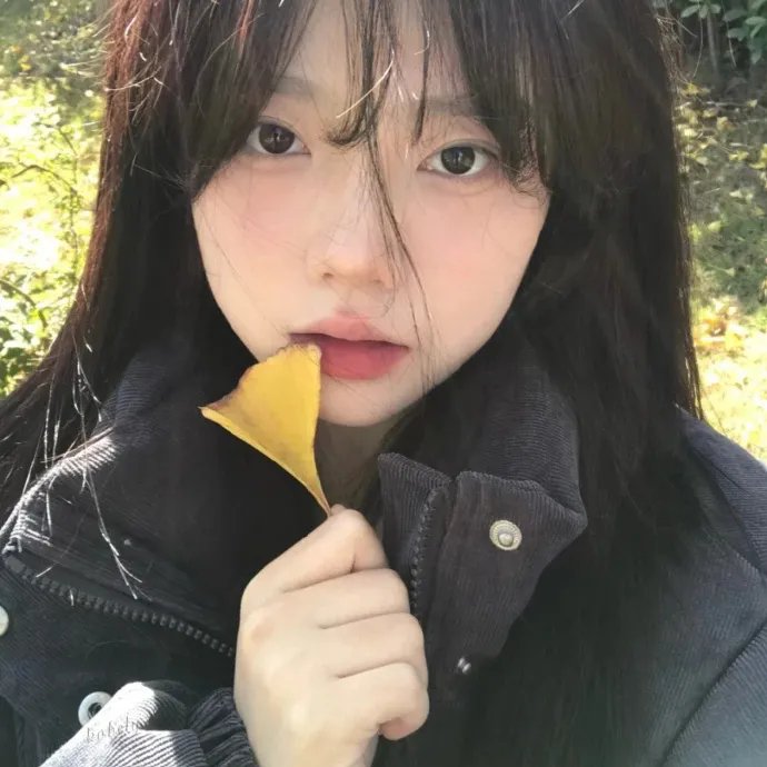 歌手相互论